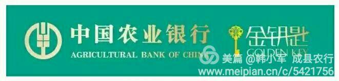自助申请，自己审批 遂清捷网络重新定义高效流程